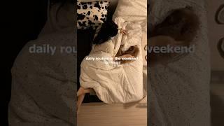 20대 직장인 주말 일상 (feat.낮잠 후 삭제된 주말..) #브이로그 #vlog #직장인브이로그 #주말브이로그 #반려견