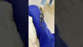 【小銭貯金】子供部屋から発見されたお金たち。#お金#貯金#銀行#家族#日常