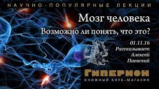 "Мозг человека. Возможно ли понять, что это?" "Гиперион", 01.11.16