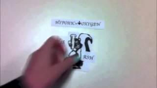 Bio 276 Agriculture- Group I