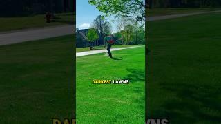 Is This The Secret To The Darkest Grass On The Block?