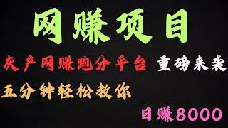 网赚 2025最新网络赚钱 项目 五分钟学会日赚5000的 网赚 灰产 赚钱 跑分 项目 无风险套利适合所有人兼职 副业（网赚阿斌）