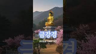 금강경 염불 #부처님말씀 #부처님가르침 #금강경 #불교명상