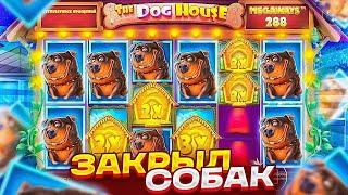 ЗАКРЫЛ СИНИХ СОБАК НА 2.000.000Р В DOG HOUSE MEGAWAYS! КАМБЭК И ЗАНОС С ПОСЛЕДНЕГО БОНУСА! ДОГ ХАУС