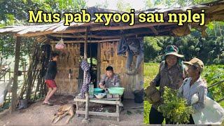 Mus pab xyooj sau nplej thiab cuab ntses peb noj sự. 22/10/2024