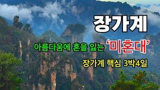 [장가계 여행 Ep.1] 아름다움에 혼을 잃게된다는 ‘미혼대’ㅣ비현실적 풍경ㅣ엄마랑 3박4일 장가계