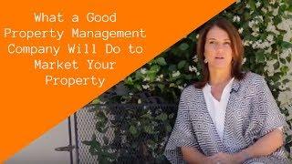 What a Good Property Management Company Will Do to Market Your Property | Phoenix Best Practices