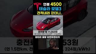 연봉4500 테슬라모델3 가능할까? (feat. 자동차 유지비테이블)