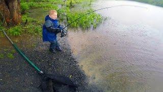 Carp fishing tips and techniques - New carp bait - How to catch carp in a lake or pond