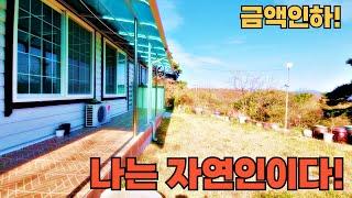 145) 땅값도 안 되는 독립적인 배산임수 시골집 510평 손 볼곳 없는 본채와 별채 촌집 #경남 #시골집 #촌집 #전원주택 #주말농장 #귀농귀촌 #자연인 #급매물 #등산