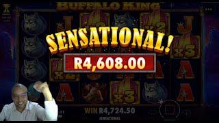 Massive Win On Buffalo King | Bonus Hunting VS Bonus Buy | HollywoodBets | Pragmatic Play