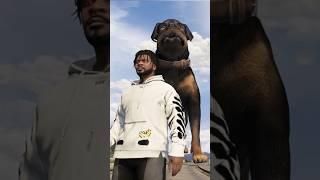 Chop Becomes Giant!! - GTA 5#shorts #gta5mods #gaming #trending