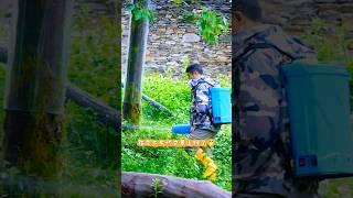 5.27福宝院子树膜安装完毕后，谢奶爸为树膜已消杀 ，福宝下午你又要上班了#大熊猫福宝#大熊猫 #国宝 #来这吸熊猫 #熊猫#panda #푸바오