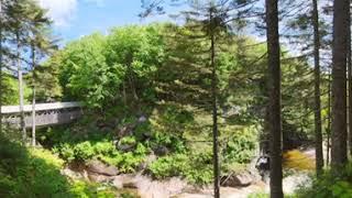 360 video of Walk away from Covered Walking Bridge in Flume Gorge, NH - click n drag to look around