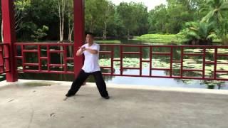 Chen Style Tai Chi Movement Demo 3