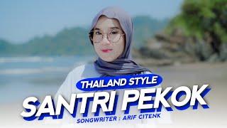 DJ Topeng - Santri Pekok Thailand Style (Official Cinematic Video)