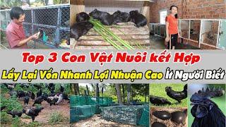 Top 3 Con Vật Nuôi Lấy Lại Vốn Nhanh Lợi Nhuận Cao Ít Người Biết || Xanh 24h