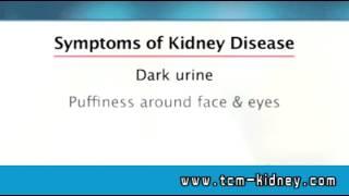 Kidney Symptoms, how to cure symptoms, do you know - www.tcm-kidney.com