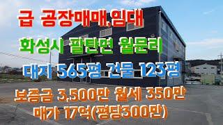 (물건번호-147)(급 신축공장 임대,매매) 화성시 팔탄면 월문온천 앞 대지565평 건물123평 ,층고9m 마당넓음.