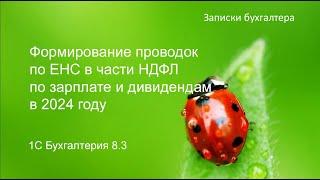 Формирование проводок по ЕНС в части НДФЛ по зарплате и дивидендам в 2024 году в 1С