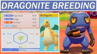 Why You Should Breed a Dragonite - "Pro" Pokemon Breeding Guide