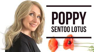 POPPY from #SENTOO Lotus collection | Wig for petite head | Maple Melange L16/17/20 |#WigReview