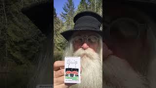 Just A Wizard Advertizing By Mezmorizing You With his Art To Wear. #wizard #funny #earrings