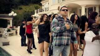 Tigran Asatryan - Sirem Sirem (Dj Vartan Remix)  New 2011 Hit Song - (Official Video)