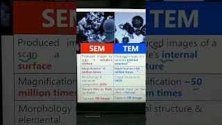 SEM Vs. TEM Analysis of Nanomaterials | The KEY Differences