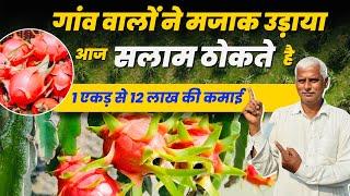 गुलाबी सोना 1 एकड़ से 12 लाख की कमाई  Dragon Fruit Ki Kheti  Dragon Fruit Farming 