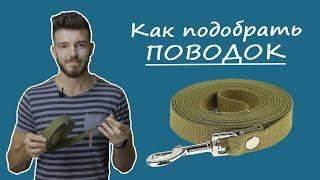Как выбрать поводок для собаки?  Брезентовый поводок