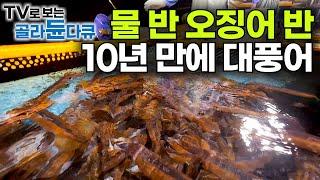 미끼도 없이 줄줄줄! 10년 만에 몰려든 오징어 떼에 모든 항구는 초비상사태 물 반 오징어 반 대풍어｜바다의 특권 선상 만찬｜만선 오징어잡이｜20200812｜극한직업｜#골라듄다큐