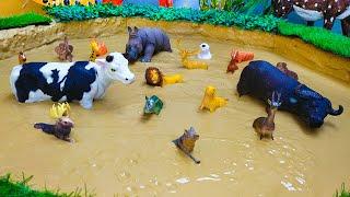 Big Cutest Cow African Rhinoceros Wild bison Jungle Animals Wild Animals Stuck in the Sandbox