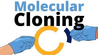 Molecular Cloning explained for Beginners