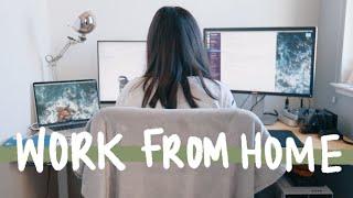 Working From Home // How to Stay Motivated, Focused, and Productive