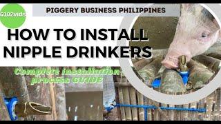 Automatic Water Drinkers For Pigs | How to Install Pig Nipple Drinkers || Effective DIY Pig Drinkers