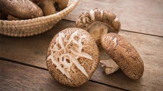 Shiitake Mushrooms Benefits -  The Amazing Health Benefits of Shiitake Mushrooms