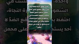 حكمة بالغة الأهمية #كلام_من_ذهب