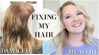 HOW I SAVED MY DAMAGED HAIR! | Best Products for Blondes | Fanola Products