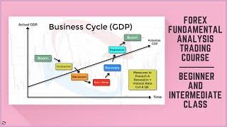 Forex Fundamental Analysis Trading Course - Beginner and Intermediate Traders