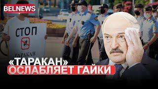 Авторку слогана «СТОП ТАРАКАН!» амнистировали / BelNews