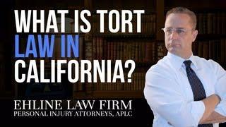 Personal Injury Law - What is a 'Tort?'