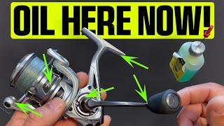 The 5 Most Important Spots to Oil on Your Reel (Most Anglers Miss These!)