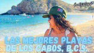 Las mejores playas   públicas de los CABOS, Baja California Sur | Candy’s trips 