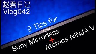 9 Tips for Sony mirrorless+Atomos NINJA V索尼微单需要Atomos NINJA V 的9个理由【赵君日记Vlog042】