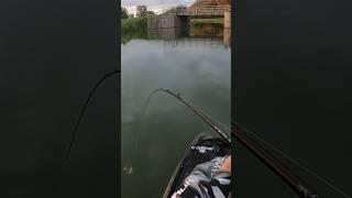 Spinnerbait Boat Flip: Ohio Kayak Bass Fishing!