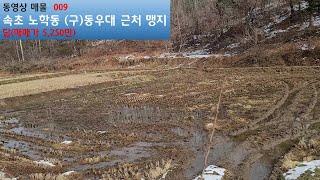 5,000만원대 속초역사 직선 800m 거리의 토지(맹지)