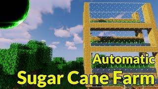 Cheap and Easy Fully Automatic Sugar Cane Farm (1.20.6 and Down) | Minecraft Farm Tutorial