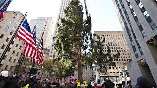  New York City LIVE – Midtown Manhattan – Rockefeller Center Christmas Tree – Central Park Carousel