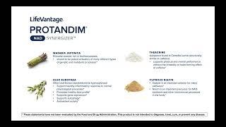 PROTANDIM NAD ENERGIZER